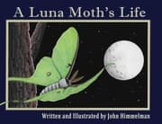 Tapa de Luna Moth's Life