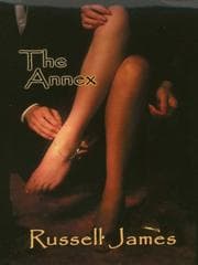 Tapa de The annex