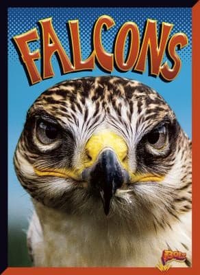Tapa de Falcons