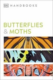 Tapa de Butterflies and Moths