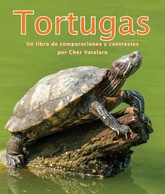 Tapa de Tortugas