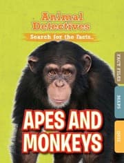 Tapa de Apes and Monkeys