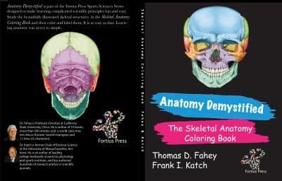 Tapa de Anatomy Demystified