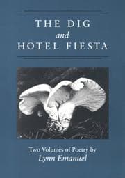 Tapa de The dig ; and, Hotel fiesta