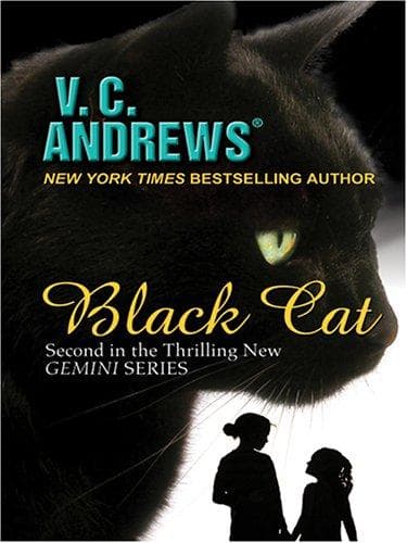 Tapa de Black cat