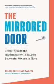 Tapa de Mirrored Door