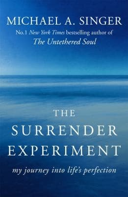 Tapa de Surrender Experiment