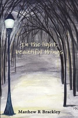 Tapa de In the Light, Beautiful Things
