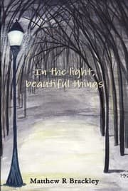 Tapa de In the Light,Beautiful Things