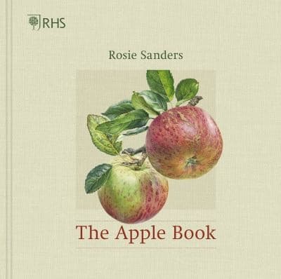 Tapa de Apple Book