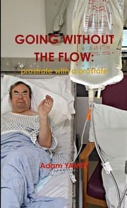 Tapa de Going Without the Flow