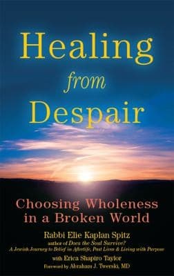 Tapa de Healing from Despair