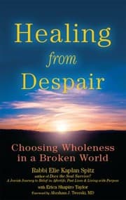 Tapa de Healing from Despair