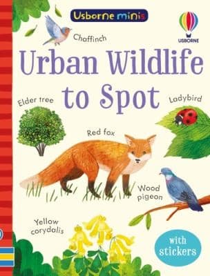 Tapa de Usborne Minis
