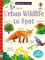 Tapa de Usborne Minis