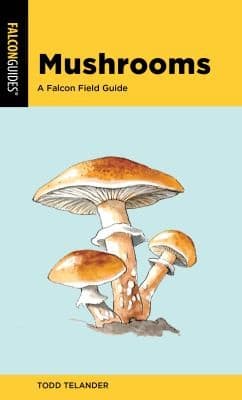 Tapa de Mushrooms