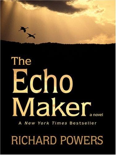 Tapa de The Echo Maker