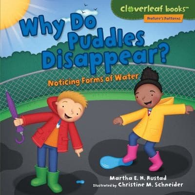 Tapa de Why Do Puddles Disappear?