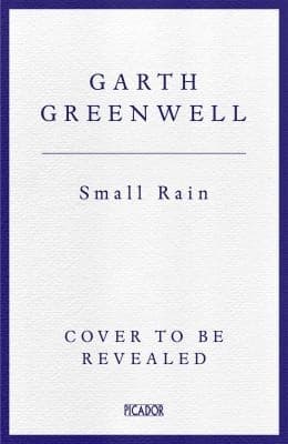 Tapa de Small Rain