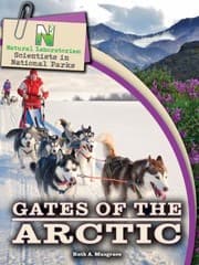 Tapa de Gates of the Arctic