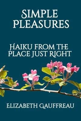 Tapa de Simple Pleasures