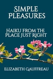 Tapa de Simple Pleasures