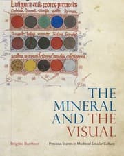 Tapa de Mineral and the Visual