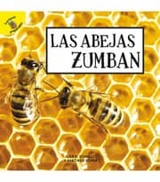 Tapa de Las Abejas Zumban