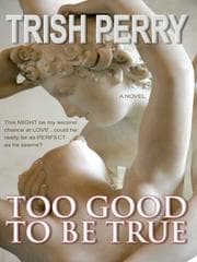 Tapa de Too Good to Be True