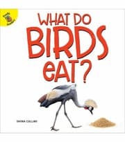Tapa de What Do Birds Eat?