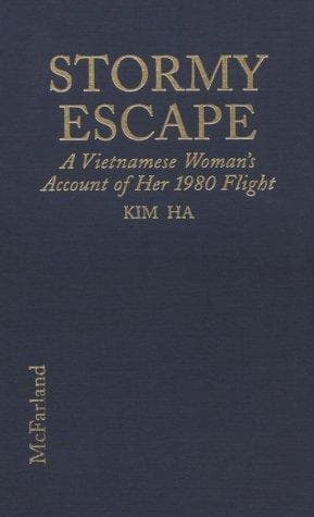 Tapa de Stormy escape