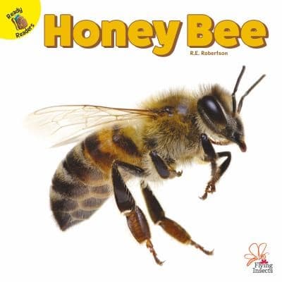 Tapa de Honey Bee