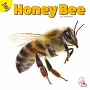 Tapa de Honey Bee