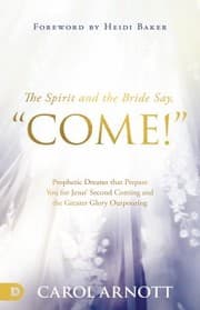 Tapa de Spirit and the Bride Say Come!