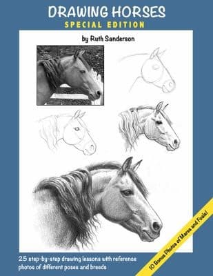 Tapa de Drawing Horses