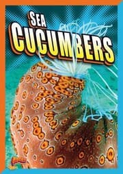 Tapa de Sea Cucumbers