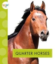 Tapa de Quarter Horses