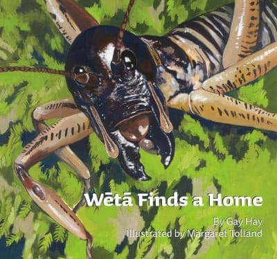 Tapa de Wētā Finds a Home