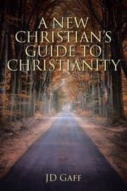 Tapa de New Christian's Guide to Christianity