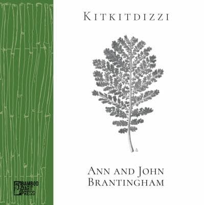 Tapa de Kitkitdizzi