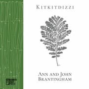Tapa de Kitkitdizzi