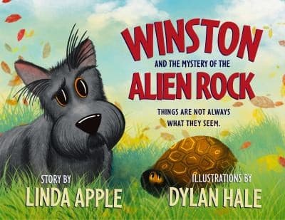 Tapa de Winston and the Alien Rock?