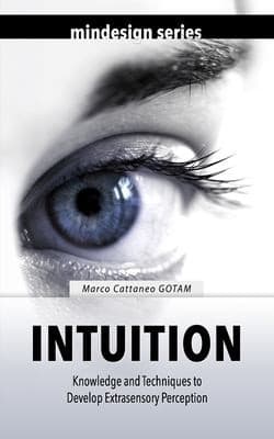Tapa de Intuition