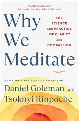 Tapa de Why We Meditate