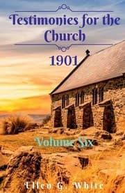 Tapa de Testimonies for the Church Volume Six (1901)