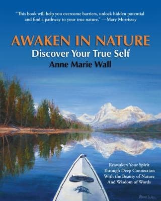 Tapa de Awaken in Nature