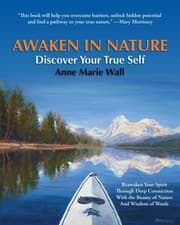 Tapa de Awaken in Nature