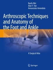 Tapa de Arthroscopic Techniques and Anatomy of the Foot and Ankle