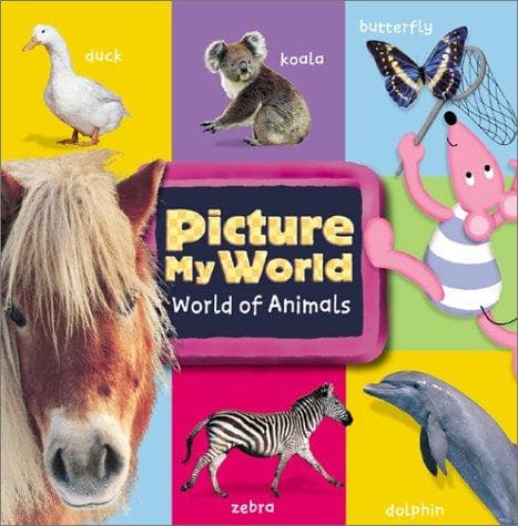 Tapa de Picture My World