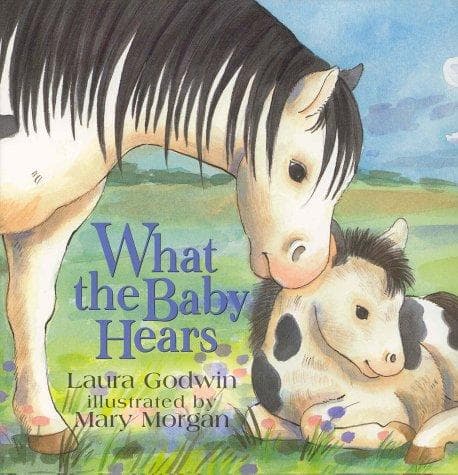 Tapa de What the baby hears
